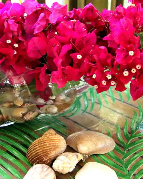 Bougainvilliers et coquillages, un détail de la maison