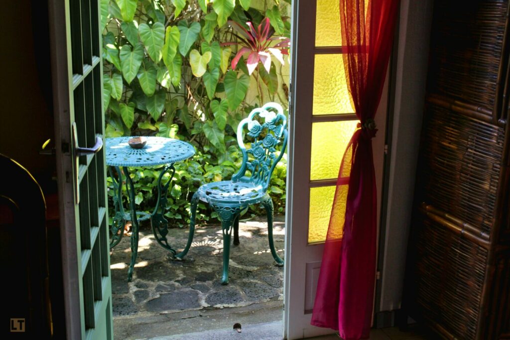La maison aux volets verts derrière les grappes turquoise de la liane de jade