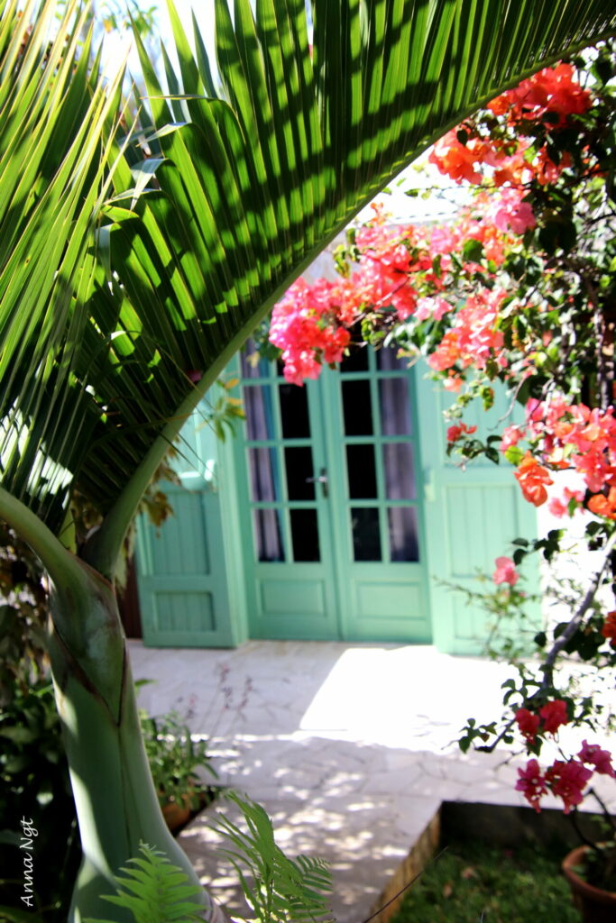 La façade de Coco Vanille : portes créoles vertes, palme de cocotier et bougainvilliers en fleurs