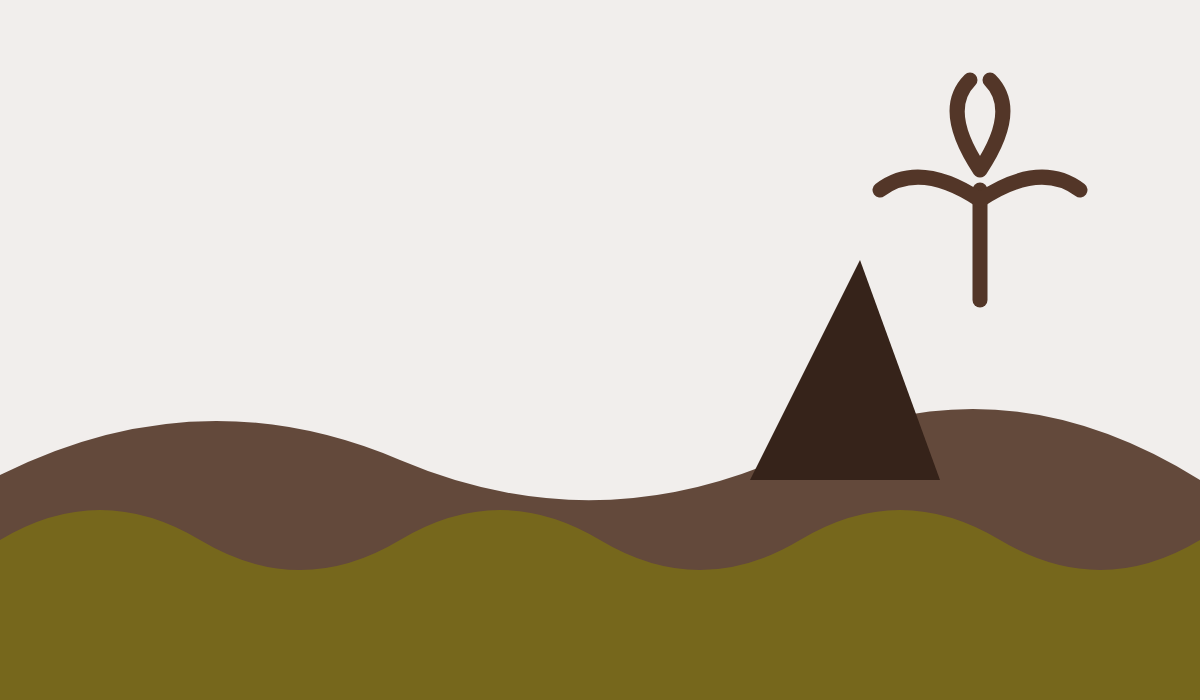 Illustration : les falaises du Cap Méchant et un paille-en-queue