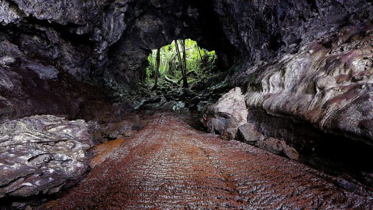 L’intérieur d’un tunnel de lave à Saint-Philippe : sol de lave figée, sortie vers la végétation